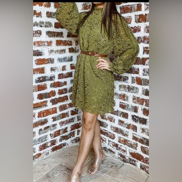 Zara Olive Green Lace Long Sleeve Dress - Picture 3 of 10
